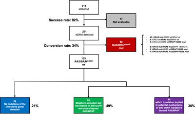 Molecular screening with liquid biopsy for anti-EGFR retreatment in metastatic colorectal cancer: preliminary data from the randomized phase 2 PARERE trial